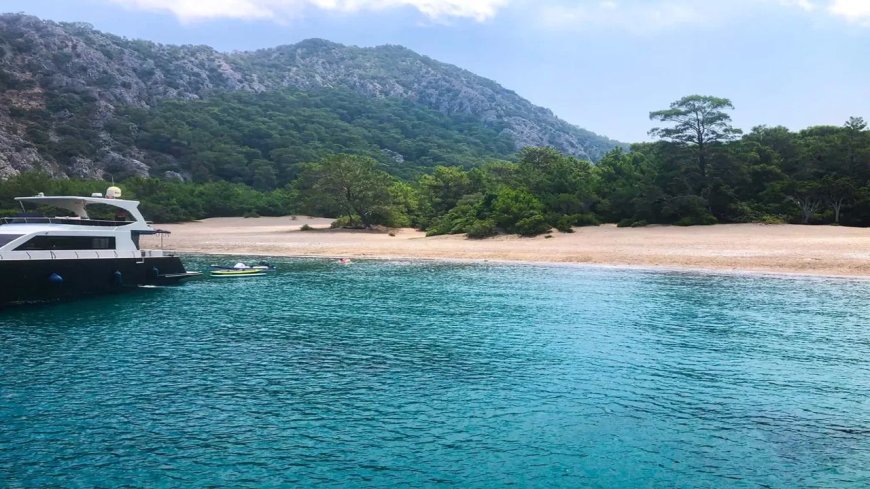 Doğanın Kucağında Sessiz Bir Mola: Sazak Koyu'nun Saklı Güzelliği