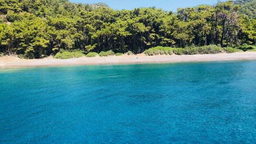 Ege’nin Saklı Cenneti! Domuz Çukuru Koyu’nda Huzur ve Doğa Buluşuyor